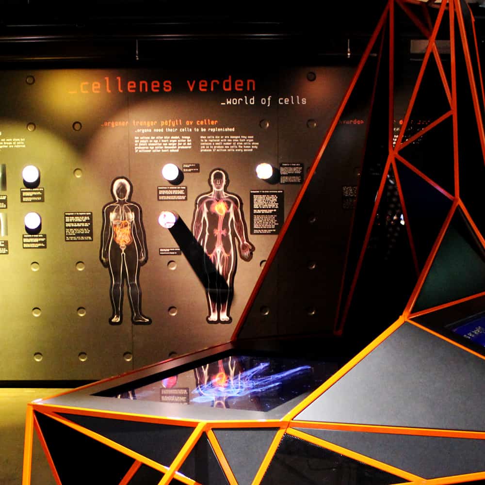 KF SCIENCE CENTER | Stereoscopica - Rosa Hernandez